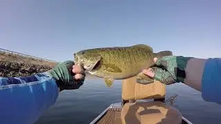 Smallmouth Bass Fishing In Heaven(Emotional)