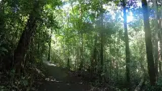 Mount Hypipamee Crater, Mount Hypipamee National Park - 360&deg; Walkthrough | VR 4K