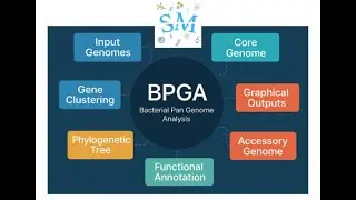 Lecture 20 | Pan-Genome Analysis Using BPGA | Comparative Genomics  Beginners | @SciChatMindset