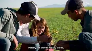 HIPPEAS Farm to Snack