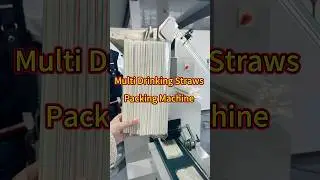 Multi Drink Straw Packing Machine | Pillow Type Drinking Straw Packaging Machine