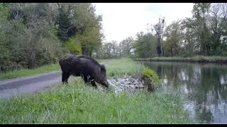 Moins de noyades sur les canaux de la Ni&egrave;vre gr&acirc;ce &agrave; des am&eacute;nagements simples !