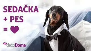 decoDoma: Potah, kter&yacute; zachr&aacute;nil l&aacute;sku jezevč&iacute;ka (kr&aacute;tk&aacute; verze)