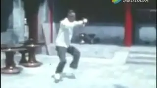 陈式太极拳 雷慕尼 Lei Muni