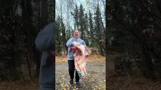 День из жизни на отдаленной Аляске #видеоблог #Аляска