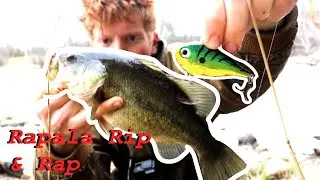 Prespawn Bass Fishing - How to FISH the Rapala RIPPIN RAP