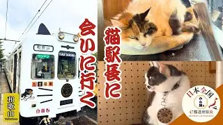 【奇跡】天国に旅立つ前に会えた！世界中の人々に愛されたニタマ駅長！【和歌山】