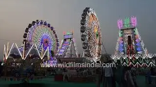 Pushkar Mela 2025: Lights, Rides and Cultural Beats