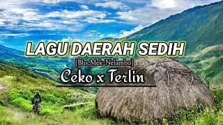 Lagu Daerah Sedih [Bhs Serem Mek_Yahukimo]Terbaru 2025_🎸🎹