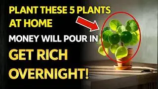 6 Magical Plants That Transform Your Home Into A Wealth Magnet And Instantly Attract Prosperity