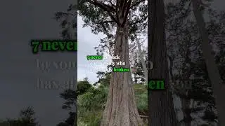 There are 10 Powerful Phycology Truth in life!