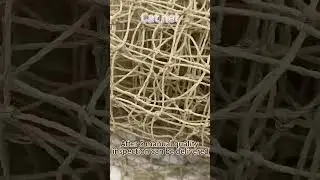 reinforced bite and tear resistant hdpe cat protection net with wire balcony protection net