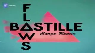 Bastille - Flaws (Cargo Remix) [Tropical House]