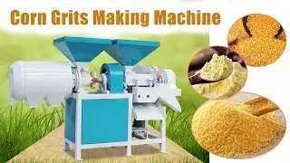 Corn Grits Making Machine - Maize Grtis Milling Machine Manufacturer & Supplier #corngrits #cornmeal