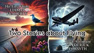 Two Stories About Flying | His First Flight & Black Aeroplane #Class10English #FlyingStories