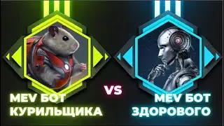 MEV - боты: мифы, скам и реальность - все, что вы хотели знать о них