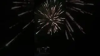 2 Inch 49 Shots Firework Cake 2寸 49发烟花  Chinese New Year Fireworks Sibu