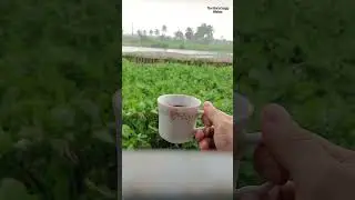 Rain & Tea. ☔☕ #youtubeshorts #food #rain #easy #shortvideo #viral #weather #tea #reels #relaxing