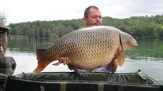 C'mon Common - Seven Monster Carp Over 20 kg