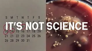 Antibiotic Resistance Explained: Why 