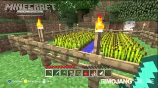 Minecraft: Xbox 360 1.8.2 New Food