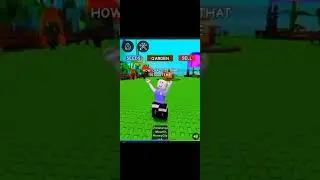 Bee Event