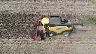 DOMINONI FREE SUN 610 NEW HOLLAND CR 960