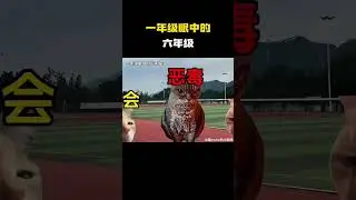 一年级眼中的六年级 #猫meme #内容过于真实 #funny