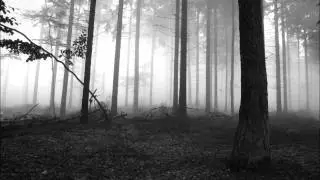 Chaos Moon - Essence of Pale