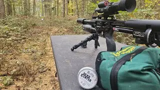 FX IMPACT M4 COMPACT SUB 12 IN .22  61 YARDS IN HIGH WINDS. DNT ZULUS V2. QUICK TUNE SYSTEM SET UP
