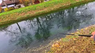 Forellenangeln am Kanal | fange ich diesmal mein Zielfisch