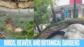 BIRDS, BEAVER, AND BOTANICAL GARDENS