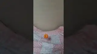 Samsung Galaxy Note Ultra 20 Slow Motion Camera
