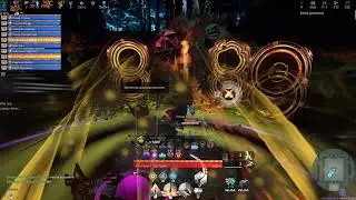 SKYFORGE - F2 ШОТ без Бога и без Паладина. (Шо Рева?)