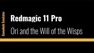 Redmagic 11 Pro - Ori and the Will of the Wisps (Gamehub)