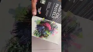 Brustro Oil Pastel 24 Shades Unboxing 🎨 | Price in Bangladesh | Honest Review #Brustro #OilPastel