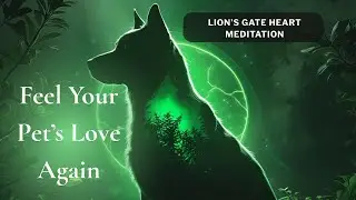 Lion&rsquo;s Gate Activation: Open Your Heart to Your Pet&rsquo;s Soul Connection | Guided Meditation