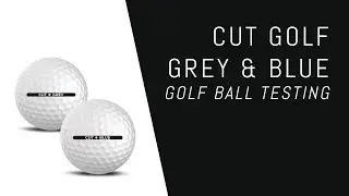 $20/Dozen Premium Golf Ball Testing | Cut Grey & Blue 2019 + Blue 2018 Comparison