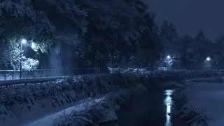 雪の誓い　沢田聖子