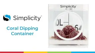 Simplicity Coral Dipping Container - Change The Way You Dip
