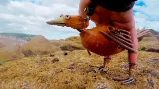 Dabchick ~4~ The Seaside