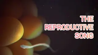 The Reproductive Song | Noor's AI Music | Human Reproduction Song | Educational Song