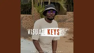 Visual keys (feat. Xnipe & 8o8slide)