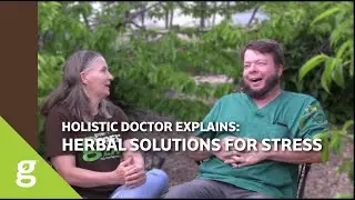 Holistic Doctor Explains: Herbal Solutions for Stress