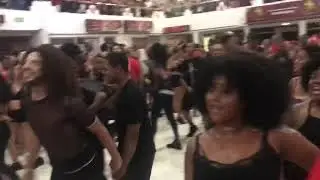 Salgueiro 2019 - canto das alas