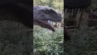 O my God dino Valley 😅 #jurassicworld #dinosaurmovie #dinosaur #music 🥱🥶