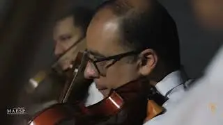 Hino 441 - Eu Sou um Cordeirinho ORQUESTRA MAESP