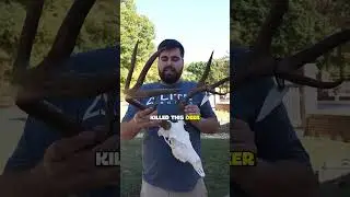 Мне нужно было опередить других охотников и добраться до этого оленя!