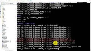 Create a heatmap for methylation levels of genomic regions with bisulfite sequencing data