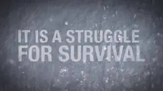 Survival Camp | Islamic Relief UK